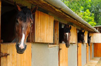 free Glossop stable construction quotes